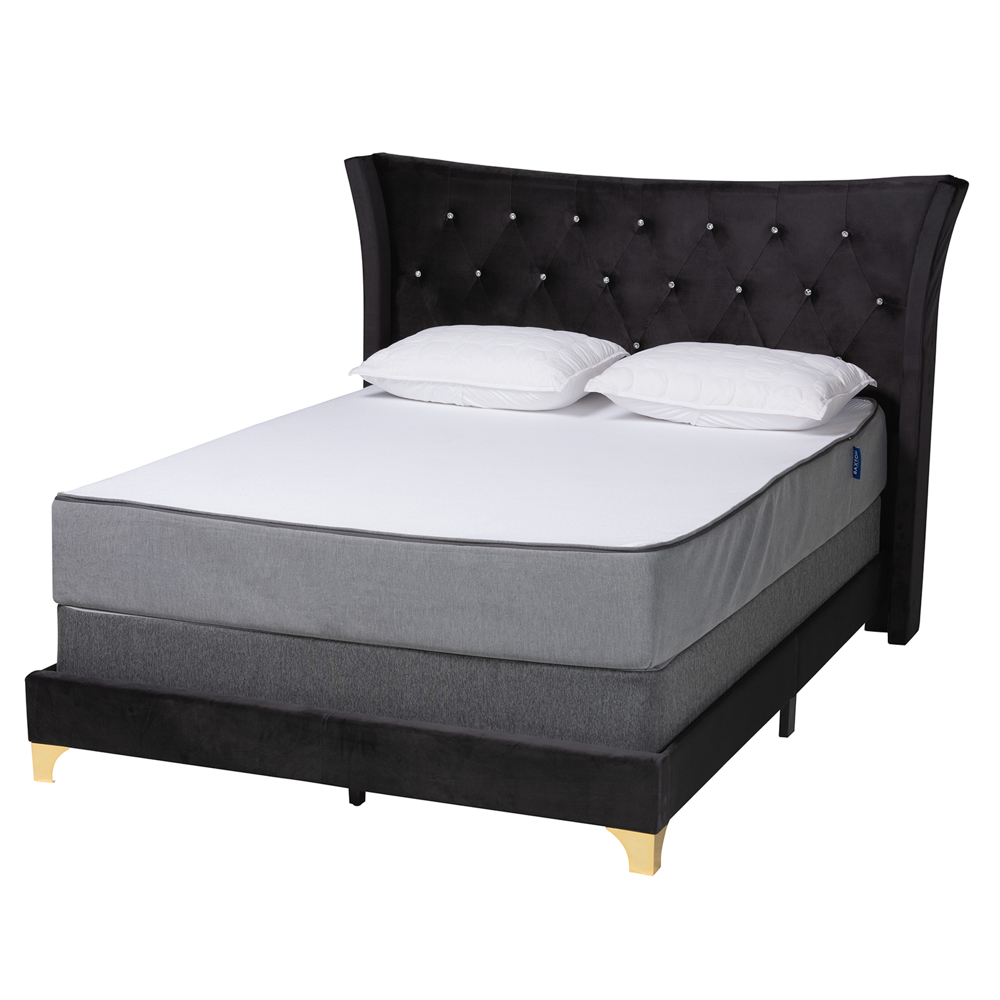 Baxton Studio Easton Contemporary Glam and Luxe Black Velvet and Gold Metal Queen Size Panel Bed